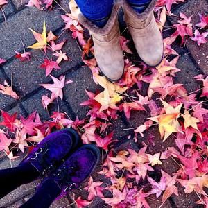 Meet your Posher, Alissa